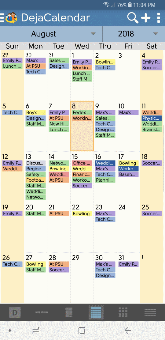 DejaOffice calendar Month view